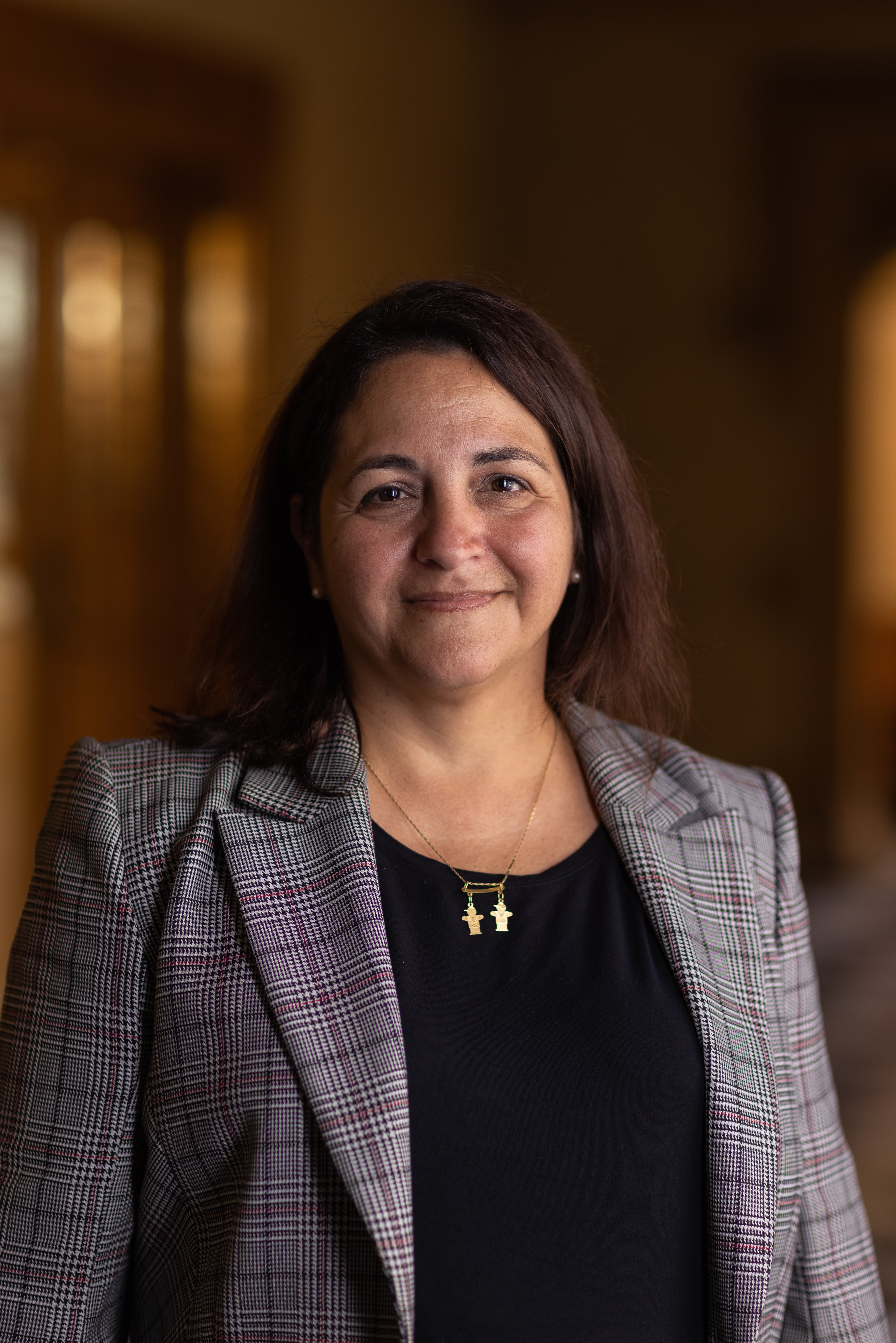 Portrait of A/Prof Graciela Corral de Zubielqui